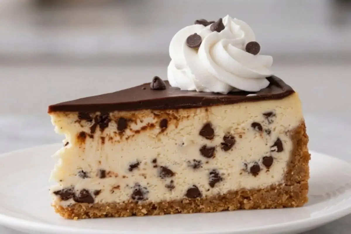 Easy Chocolate Chip Cheesecake_ A beautiful slice of easy chocolate chip cheesecake resting on a simple white plate, featuring a classic crumb crust, a rich, creamy center loaded with chocolate chips, and finished with a smooth chocolate topping and a swirl of fresh whipped cream.